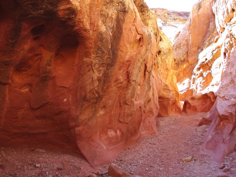 04160302LittleWildHorse (1107)